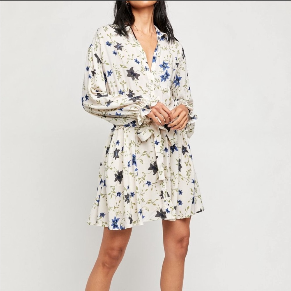 FREE PEOPLE Blue and White Floral Tea Combo Collared Wrap Dress